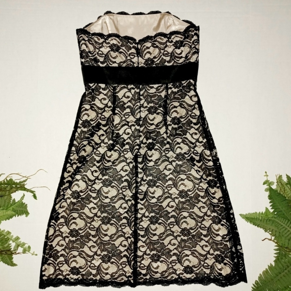 White House|Black Market Elegant Black Lace Strapless Dress Size 4 - Picture 5 of 14